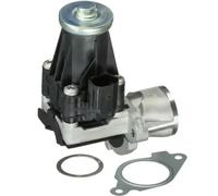 DELPHI Válvula EGR para FIAT: Punto, 500, Strada, Doblo, Panda, Idea, Qubo, Fiorino & ALFA ROMEO: Mi.To & OPEL: Corsa, Meriva (Ref: EG10443-12B1)