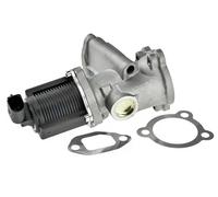 Válvula EGR AGR eléctrico EGR-PL-004 NTY para FIAT OPEL LANCIA ALFA ROMEO