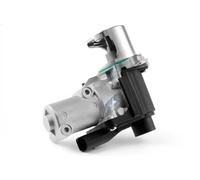 Válvula EGR AGR eléctrico EGR-VW-006 NTY para VW MULTIVAN T6 MULTIVAN T5