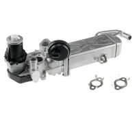 NTY EGR-VW-007 Válvula EGR