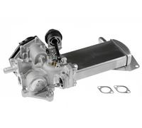 NTY EGR-VW-024 Válvula EGR