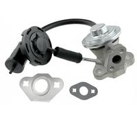 NTY EGR-CH-009 Válvula EGR