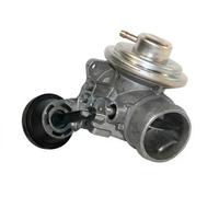 ERA 555062A Válvula EGR