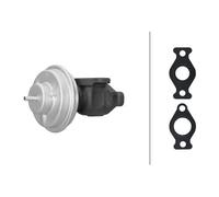Válvula EGR AGR neumático 6NU 014 865-681 HELLA para KIA HYUNDAI