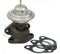 Válvula EGR AGR neumático 7.24809.53.0 PIERBURG para CITROËN PEUGEOT FIAT IVECO