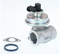 WAHLER 710923D Válvula EGR