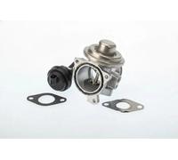 WAHLER 7241D Válvula EGR