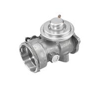 BorgWarner 7451D Válvula EGR