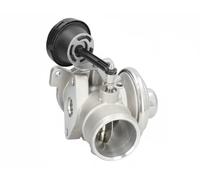 JAPANPARTS EGR-0900 Válvula EGR