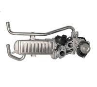 Válvula EGR BORG WARNER 710863D/1 para SKODA ROOMSTER (5J7) 1.2 2010-2015