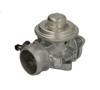 Válvula EGR BORG WARNER 7283D para SEAT LEON (1P1) 1.9 2005-2010