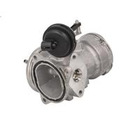 Válvula EGR BORG WARNER 7451D para SEAT TOLEDO III (5P2) 1.9 2004-2009