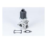 Válvula EGR BORG WARNER A2820044930V1