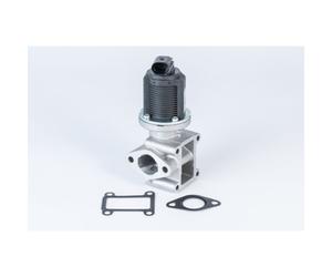 Válvula EGR BORG WARNER A2820044930V1