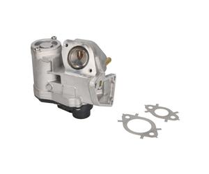 Válvula EGR DELPHI EG10411-12B1