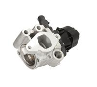 Escape > Captores de escape > Válvula EGR