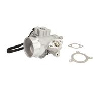 Escape > Captores de escape > Válvula EGR