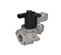 Válvula EGR AGR EG10509-12B1 DELPHI para AUDI VW