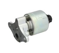 Delphi Technologies EG10545-12B1 Válvula EGR