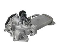 DELPHI VÃ¡lvula EGR para AUDI: A4, Q5, A5, A6 & SEAT: Exeo (Ref: EG10584-12B1)