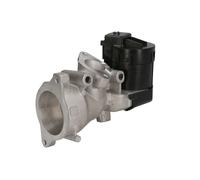 DELPHI Válvula EGR para FORD: S-Max, Galaxy, Mondeo, Focus, Kuga (Ref: EG10591-12B1)