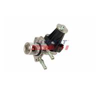 Válvula Egr Fast FT10613 para Citroën Fiat Opel Toyota General Motors