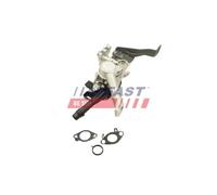 Válvula Egr Fast FT60246 para Citroën Opel Toyota