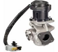 Valvula Egr Hella 6nu 010 171-651