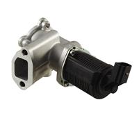 Hella Válvula EGR 6NU 010 171-451 – electrónica, 2 polos, con juntas