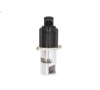 MAGNETI MARELLI 571822112009 Válvula EGR