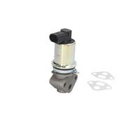 Válvula EGR MAGNETI MARELLI 571822112011