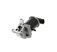 Magneti Marelli Válvula EGR 571822112068