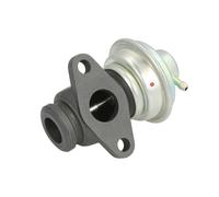 MAGNETI MARELLI VÃ¡lvula EGR para RENAULT: Trafic, Master, Laguna, Clio, MÃ©gane ScÃ©nic & OPEL: Movano (Ref: 571822112113)