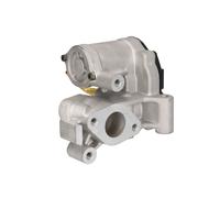 MAGNETI MARELLI VÃ¡lvula EGR para RENAULT: Master & NISSAN: Interstar & OPEL: Movano & R.V.I.: Mascott (Ref: 571822112129)