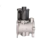 Válvula EGR NRF 48630 para VW CRAFTER 30-35 Autobús (2E_) 2.5 2006-2013