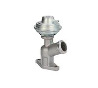 Válvula de recirculación de gases de escape NTK | EGP0-N017, 95864