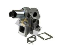 Válvula EGR Recirculación Gases Escape Renault Laguna II 1.9DCI,Megane 1.9DCI 02