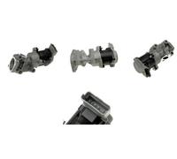 Valeo Válvula EGR 700410