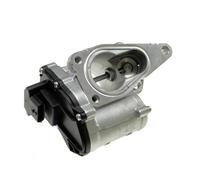 Válvula EGR Recirculación Renault Laguna II/Megane/Suzuki Grand Vitara