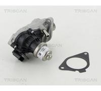Triscan A/S Válvula EGR para BMW: Série 7, X3, Série 3, Série 2, Série 4, Série 6, Série 5, Série 1, X7, X2, X5, X4, Série 8, X1, X6 (Ref: 8813 11007)