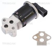 Válvula EGR TRISCAN 8813 21008