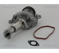 Triscan A/S Válvula EGR para MERCEDES-BENZ: Sprinter, Vito, Classe V (Ref: 8813 23023)