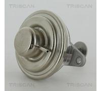 Válvula EGR TRISCAN 8813 24054