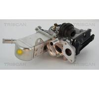 Válvula EGR TRISCAN 8813 25013