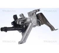Triscan A/S Válvula EGR para DS: DS4, DS3, DS5 & PEUGEOT: Expert, Partner, 5008, 308, 301, 208, 508, 2008, 3008, Traveller (Ref: 8813 28103)