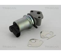 Válvula EGR TRISCAN 8813 29004