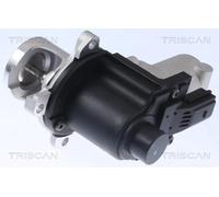 Válvula EGR TRISCAN 8813 29015