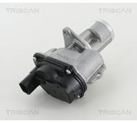 Triscan A/S Válvula EGR para PORSCHE: Panamera, Cayenne, Macan & AUDI: Q5, A8, A4, A6, SQ5, A5, Q7, A7 & VOLKSWAGEN: Touareg (Ref: 8813 29065)
