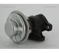 Triscan A/S Válvula EGR para HYUNDAI: H1, Satellite, Starex & KIA: Sorento (Ref: 8813 43022)