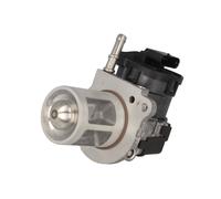 Válvula EGR WAHLER 710095D